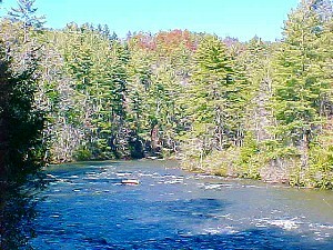 Toccoa River